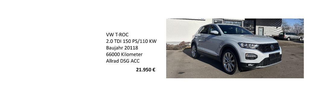 KFZ-Service Fleschutz